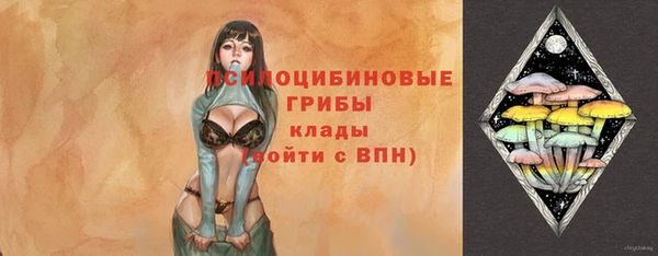 мдпв Арсеньев