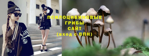 ешки Аркадак