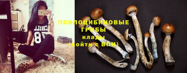 меф Армянск