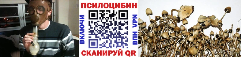 ОМГ ОМГ ссылка Окуловка Псилоцибиновые грибы мухоморы