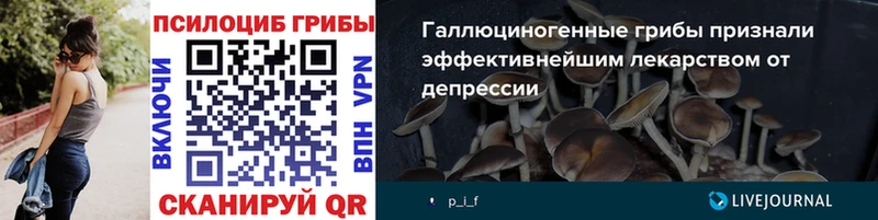 Галлюциногенные грибы Magic Shrooms Окуловка